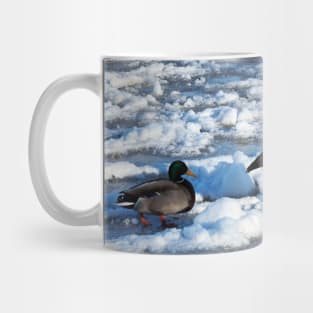 Green Mallard Duck and Canada Goose Walking On The Snow Mug